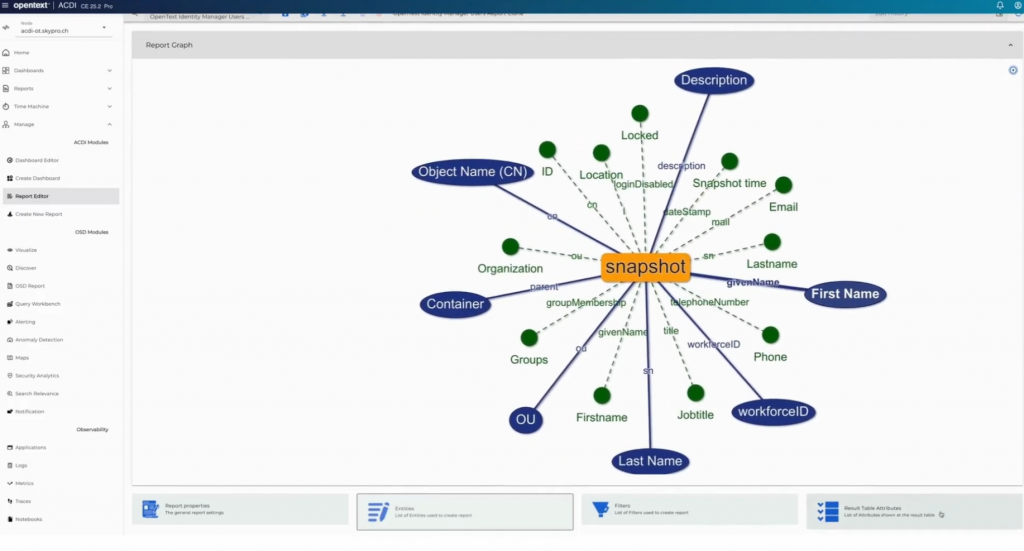 Screenshot of ACDI Report editor